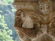Bélier ailé aux ailes sur la bouche / France, Languedoc Roussillon, St Martin du Canigou