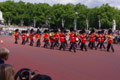 Garde royale / Angleterre, Londres