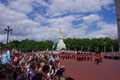 Défilé de la relève de la garde / Angleterre, Londres, Buckingham Palace
