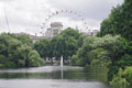 London Eye depuis St James Park
