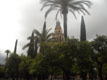 Tour émerge des palmiers / Espagne, Andalousie, Cordoue, A la Mezquita