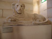 Lyon du Sérapéum de Saqqara, Antiquités égyptiennes / France, Paris, Le Louvre