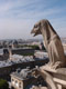 Chimère / France, Paris, Notre Dame