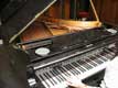 Bosendorfer / Belgique, Bruxelles