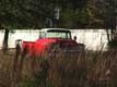 pickup derri�re les hautes herbes / USA, Floride, Disney Park