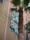 Palmier devant peinture sur le mur / USA, Floride
