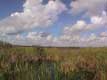 marais / USA, Floride, Everglades