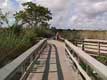 Promenade de planches / USA, Floride, Everglades