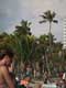 Palmiers sur la plage / USA, Floride, Fort Lauderdale