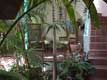 entr�e de l'h�tel / USA, Floride, Fort Lauderdale