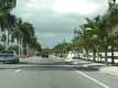 Grande avenue bordée de palmiers / USA, Floride, Fort Lauderdale