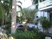 Jardins devant les maisons / USA, Floride, Key West