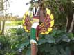 totem indien / USA, Floride, Miccosukee