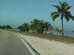 Panneaux et palmiers en bord de plage / USA, Floride, Sanibel