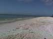 plage / USA, Floride, Sanibel
