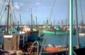 multitude de mats des bateaux de p�che / France, Bretagne, Lesconil