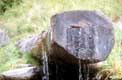 Fontaine suinte à travers le tronc Ayer Val Anniviers / Suisse, Valais