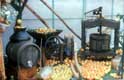 pressoirs et oranges / inconnu