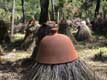 tas de paille prot�g�s par un pot de terre / France, landes, Marqu�ze