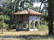poulailler perch� / France, Landes, Marqu�ze