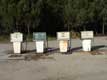 pompes � essence / France, Landes