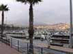 port le soir / France, Pyr�n�es Orientales, Argeles