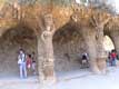 Colonnes-piliers en pierres non dÃ©grossies bordant une avenue couverte de Gaudi