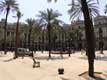 Plaza Real plantée de palmiers / Espagne, Barcelone