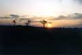 coucher de soleil / Afrique, Kenya