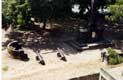 cour int�rieure et canon Fort Jesus / Afrique, Kenya, Mombasa