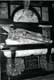 Petrus Damant, �v�que / Belgique, Gand