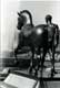 Statue équestre homme et cheval nus devant jets d'eau
