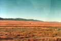 village dans le d�sert / USA, South Lake Tahoe