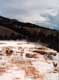 Benitiers mammoth hot springs / USA, Wyoming, Yellowstone