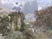 pigeons sur Goethe Stone / Luxembourg