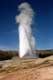 Old Faithful Geser, le plus fameux au monde, découvert en 1870, jet de 150 pieds de haut toutes les 63 minutes / USA, Wyoming, Yellowstone