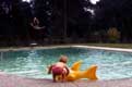 L'enfant au Dauphin bou�e et plongeon / Belgique