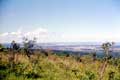 v�g�tation dans la vall�e / Afrique, Congo, Leopoldville