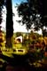 jardin arbor� / France, C�te d'Azur, Vence