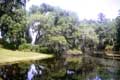 Vieil arbre devant l'étang / USA, Caroline du Sud, Charleston, Middleton Garden