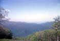 Vallée arborée / USA, Virginie, Smokey Mountains, Blue Ridge Parkway, Shenandoah national park