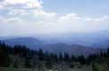 Sapins pointus devant les monts découpés / USA, Virginie, Smokey Mountains, Blue Ridge Parkway, Shenandoah national park