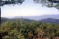 Végétation / USA, Virginie, Smokey Mountains, Blue Ridge Parkway, Shenandoah national park