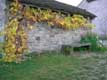 banc de pierre et vigne vierge / France, Franche Comt�, Nancray, Maisons comptoises